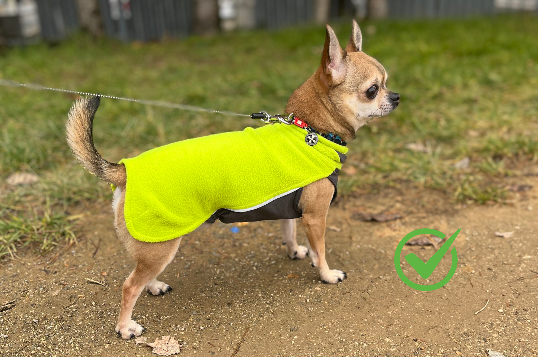 psík je oblečený v mikine, ktorá kryje všetko dôležité čo má a perfektne sedí